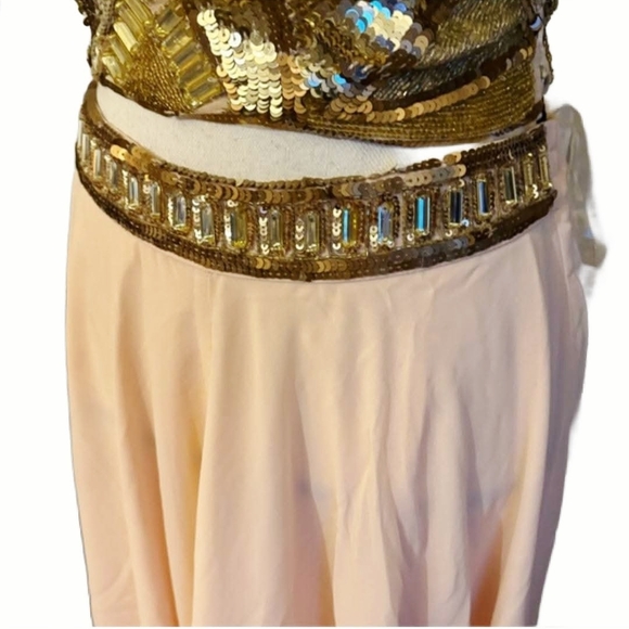 Versace 19.69 Abbigliamento Italia Sequin Embellished Gown Set - Picture 7 of 10